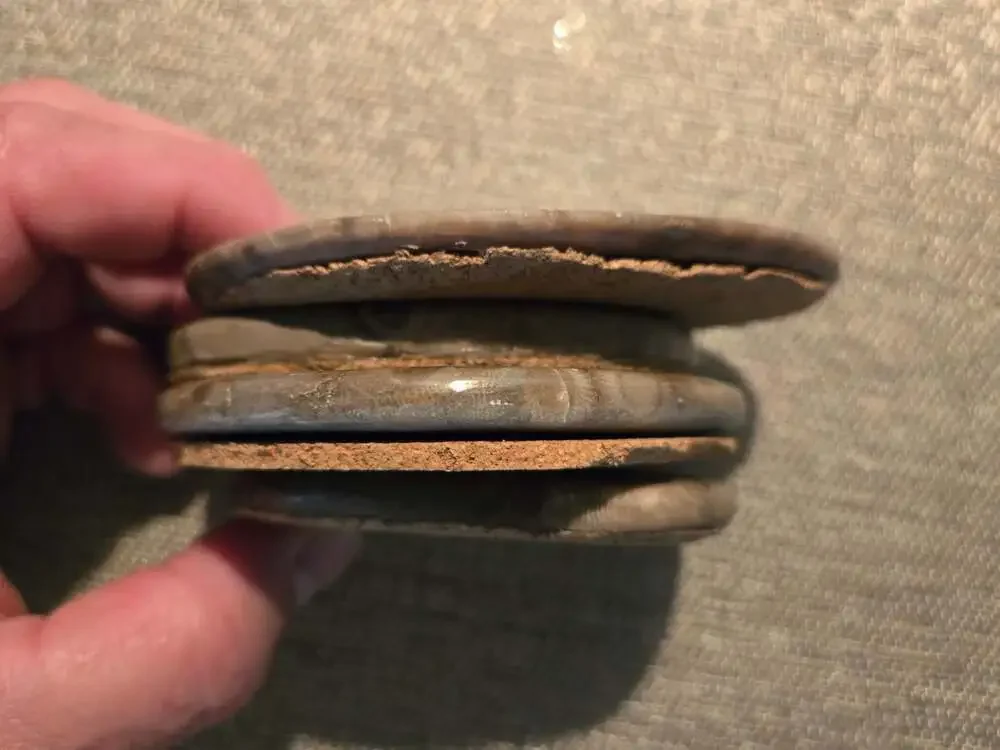 Set of 4 Polished Petoskey Stone Fossil Coral Drink Coasters with Cork Backing